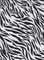 1 Yard Brushed DTY Zebra Print Knit Fabric 170 GSM, 58/60″ Wide Polyester Spandex Blend